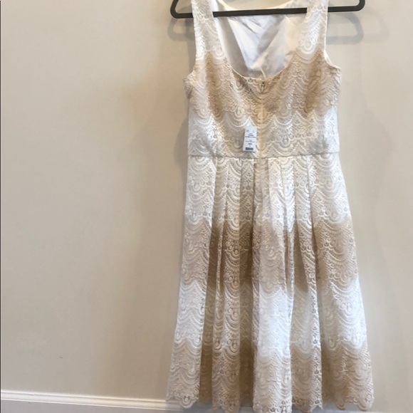 WHBM NWT color blocked Lace dress - Picture 3 of 3